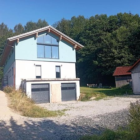 Fewo Wiesenblick Waldmuenchen Exterior photo