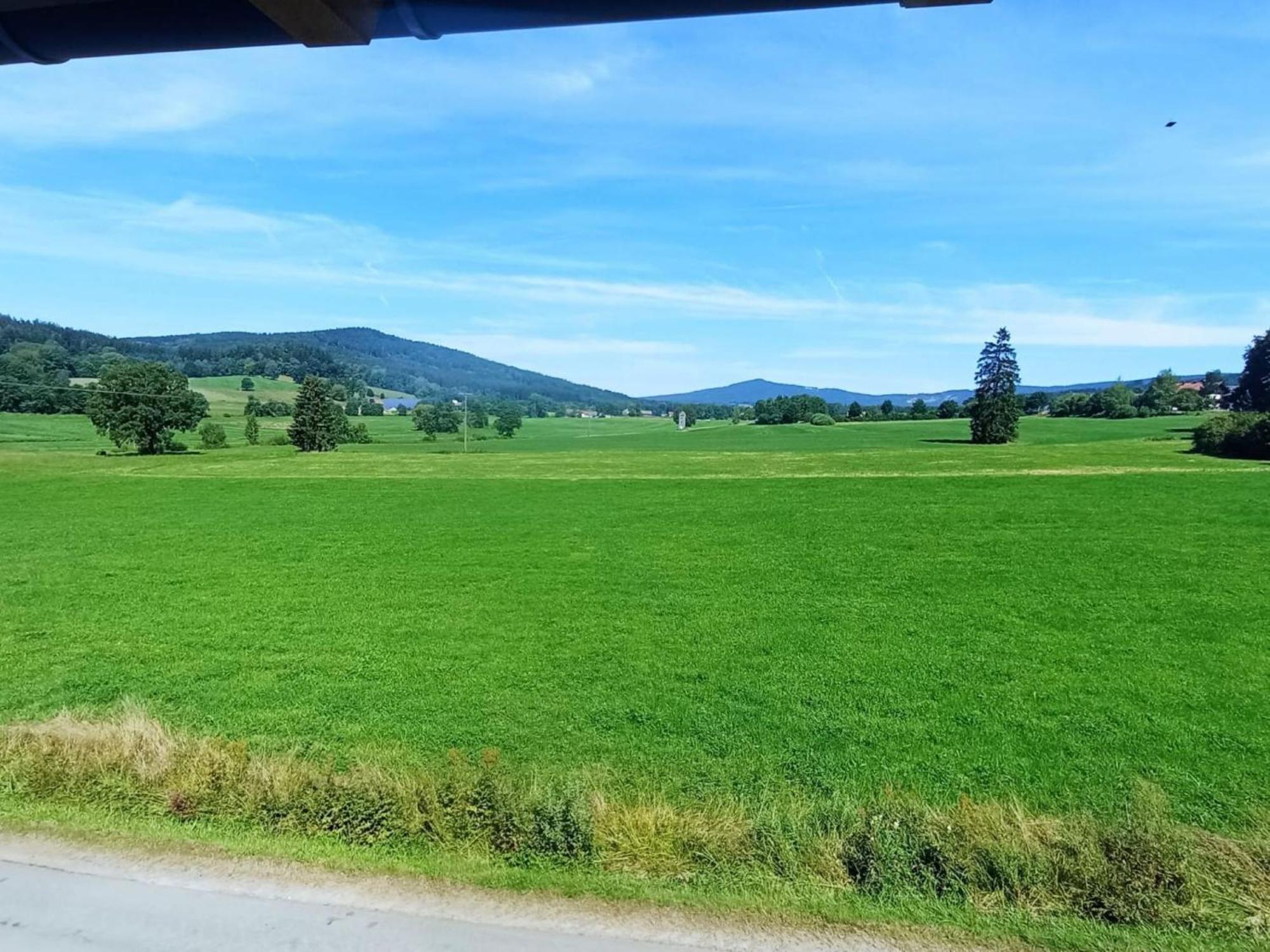 Fewo Wiesenblick Waldmuenchen Exterior photo